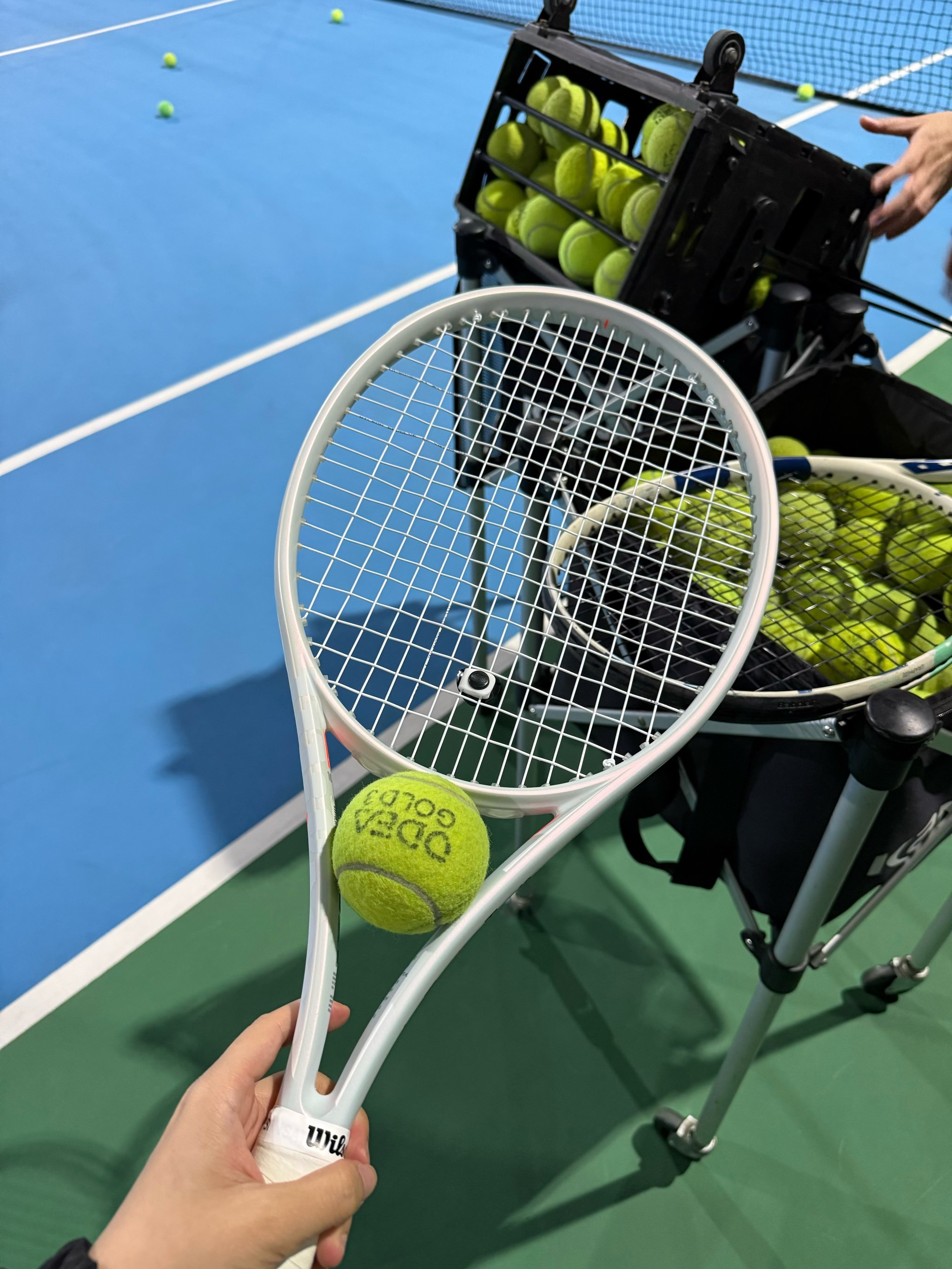 深圳已经给 深圳已经给